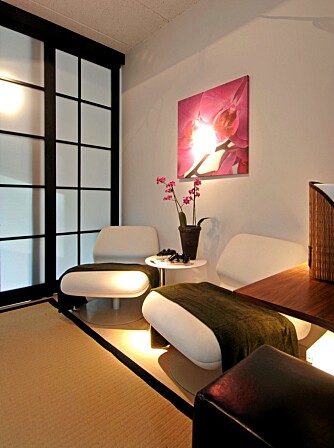 OPPHOLDSDEL: De to hvite stolene er tegnet av danske Morten Vos for Fritz Hansen. Det store bildet på veggen viser en rosa orkidé, en japansk blomst som har høy prestisje i østlige land. Ikea-bokhyllen med betongsokkel er dessverre gått ut av produksjon. Den andre, mørkebrune bokhyllen er fra One Collection.