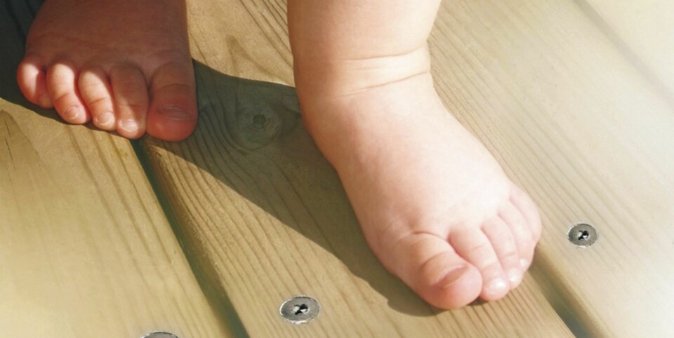 TERRASSESKRUER: Testfakta ga SP Sveriges tekniske forskningsinstitutt i oppdrag å sammenligne terrasseskruer. Resultatet viser at holdbarheten på de forskjellige skruene varierer kraftig.