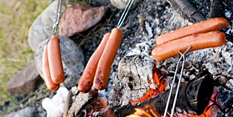 A wiener roast over an open fire