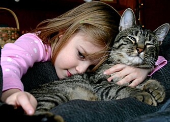 FULL HARMONI: Katter og barn kan leve i full harmoni sammen, men det er smart med noen forholdsregler når nye søsken kommer til.