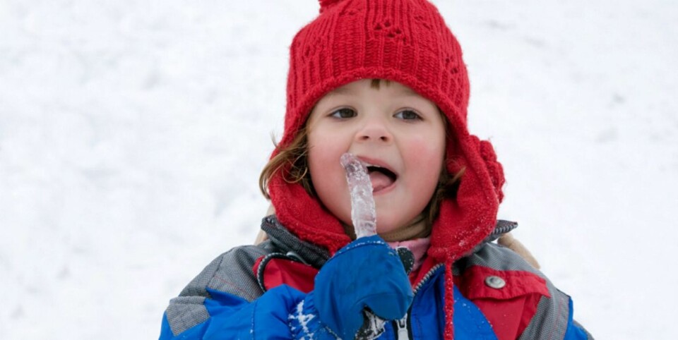 NATURLIG GODT: Istapper begeistrer de fleste barn. Men kan den inneholde egg fra mark?