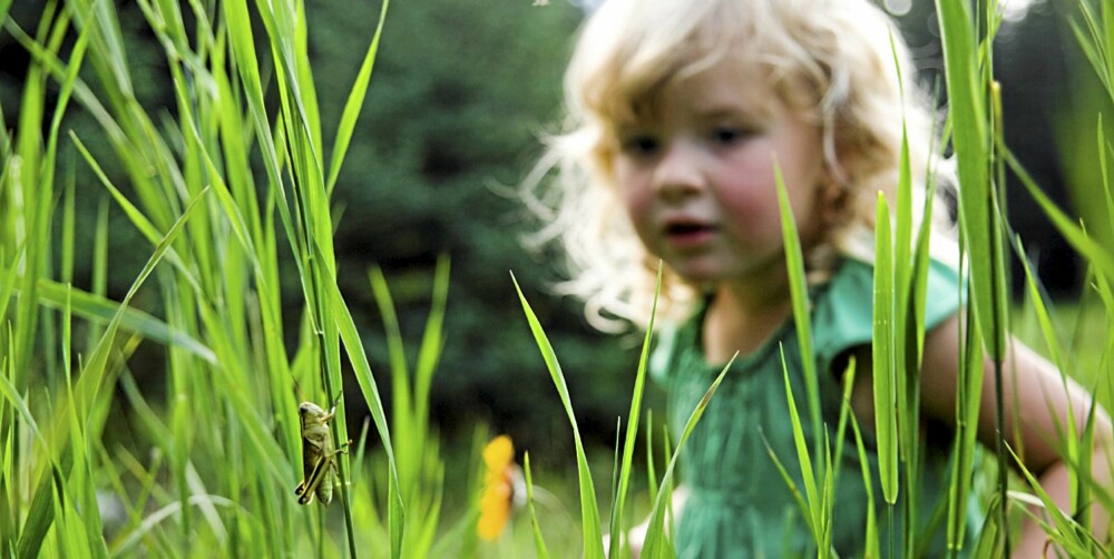 UTFORSKE: Ved å utforkse naturen lærer barn om insekter og andre småkryp.
