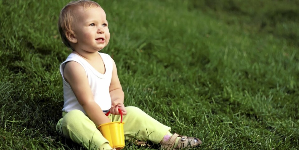 Flått overlever klesvask