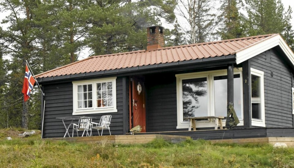 POLLEN: Hytter i nærheten av nåletrær kan ha pollen på panelet så det blir vanskelig å male.