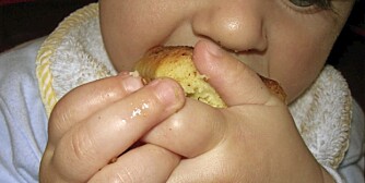 SULTEN: Har barnet ditt bedt om en tørr brødskalk med valpeøyne og møkkete fjes?