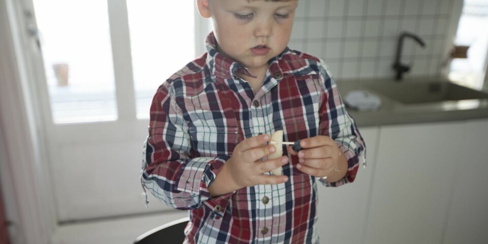 FOKUS: Konsentrasjonen var på høygir når Ferdinand skulle lage eplebiler.