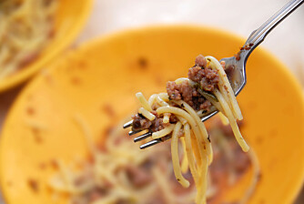 TO VERSTINGER: Kjøttdeig og pasta er to av de vanskeligste matrestene å bruke trygt. Kjøttdeig fordi overflaten på kjøttstykkene er brutt og det er et blandingsprodukt som ofte har vært gjennom mange prosesser, og pasta fordi den kan inneholde den varmetolerante Bacillus cereus.