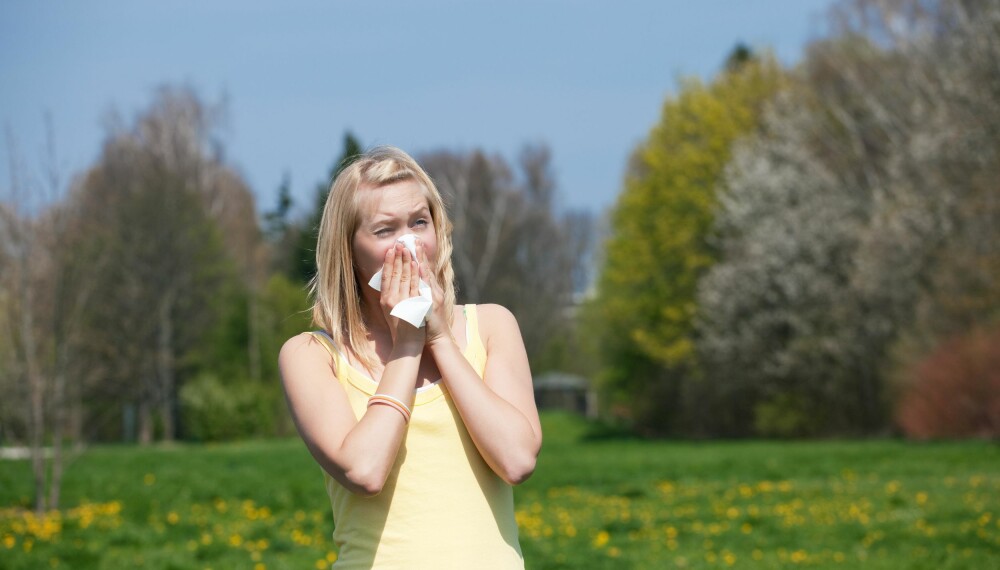 PLAGSOM ALLERGI: Våren er en fin tid, men for pollenallergikerne kan det være vanskelig å nyte den. 
ILLUSTRASJONSFOTO: Colourbox