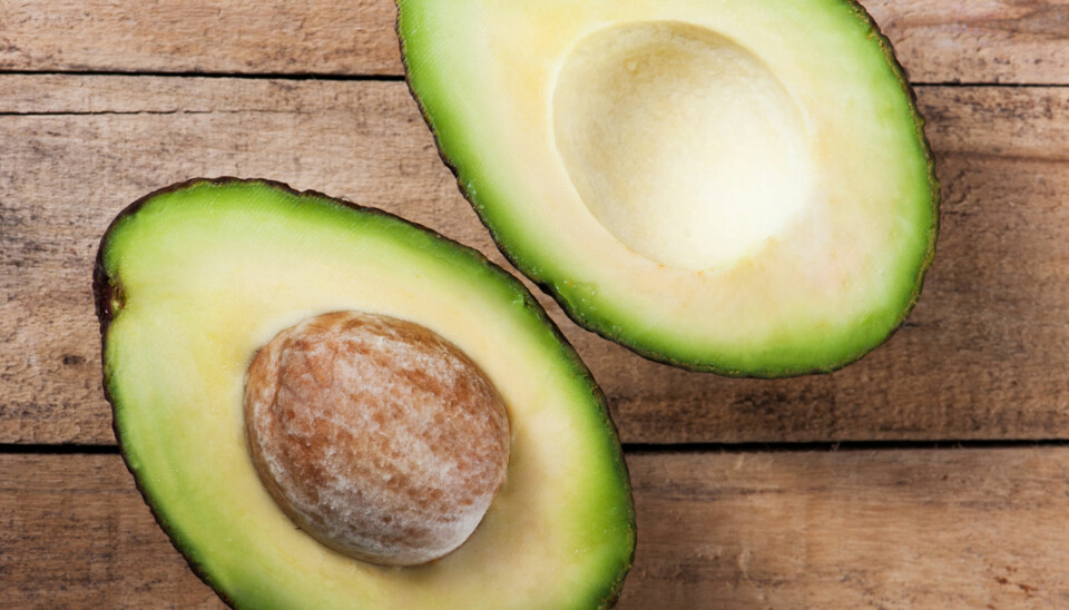 SUPERFRUKTEN AVOKADO: Å spise avokado ofte - gjerne hver dag - har mange positive sider. ILLUSTRASJONSFOTO: Colourbox