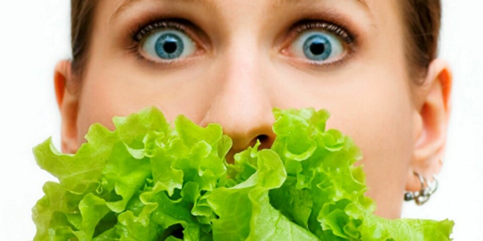 De dummeste slankekurene