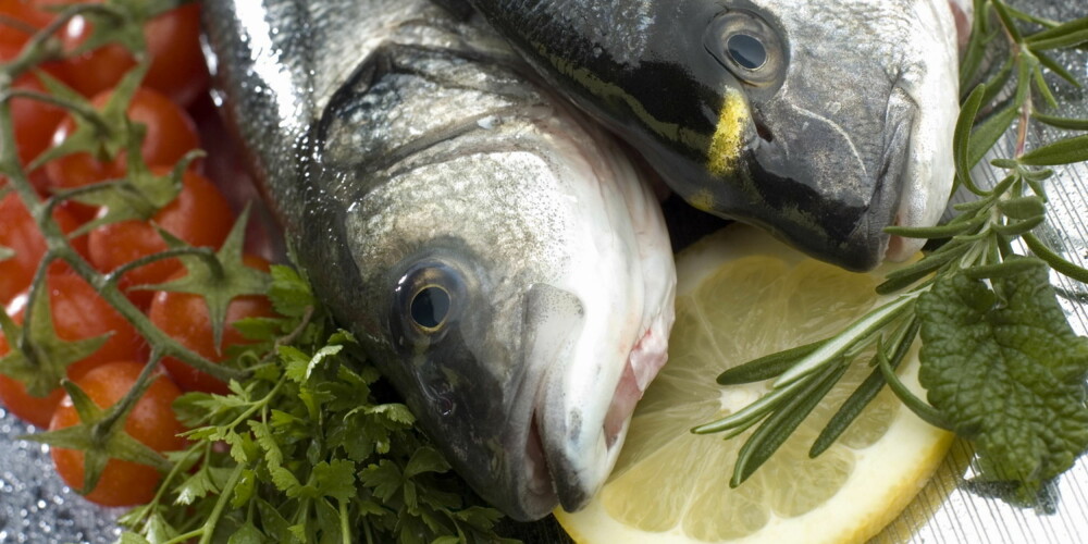FERSKE INGREDIENSER: Havabbor, havkaruss, rosmarin, persille, tomater og sitron FERSKE INGREDIENSER: Havabbor, havkaruss, rosmarin, persille, tomater og sitron