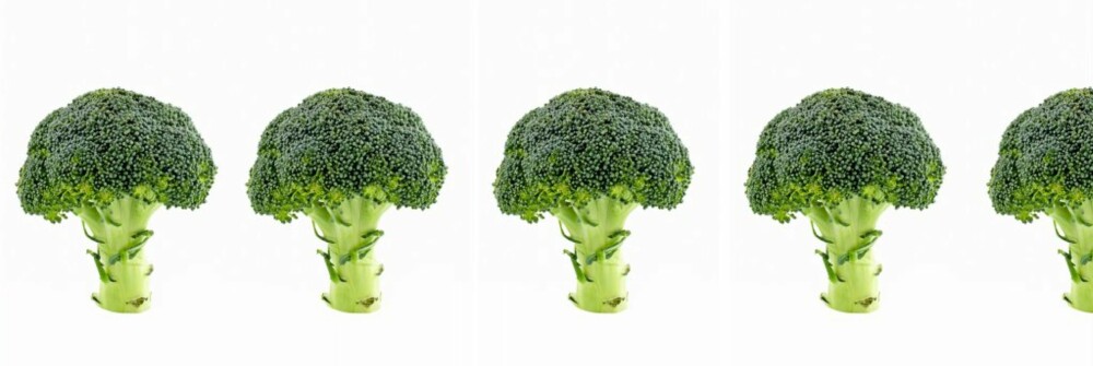 BROKKOLI: 4,5 hode brokkoli gir femti gram karbohydrater. Det samme gjør 4,5 loffskive.