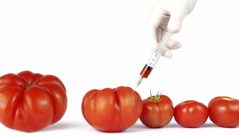 BARE AB: Tomater er supergunstig for blodtype AB, mens personer med blodtype A, B og O bør unngå denne matvaren.