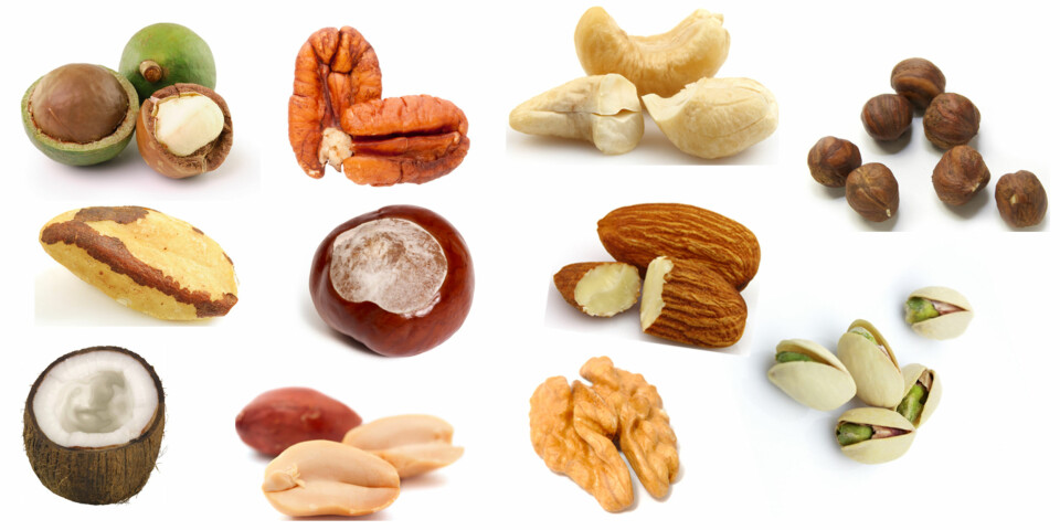 Hvilken av disse ville du valgt?