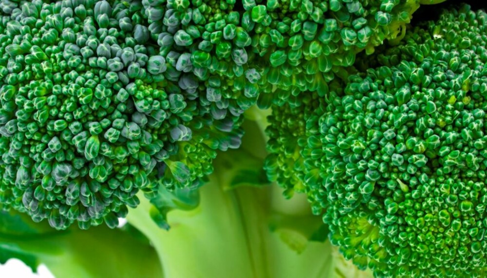 ANTIOKSIDANTER: Brokkoli inneholder helsebringende antioksidanter som kan forebygge revmatisme.