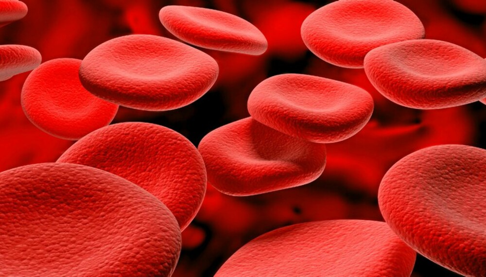 BLOD: Glukose bindes til hemoglobin i de røde blodlegemene