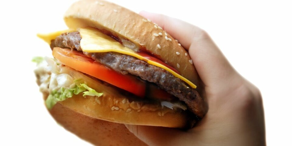 USUNN: Svært mange europeere er bærere av fedme-genet FTO, som kan gjøre deg ekstra hungrig på kaloririk mat.