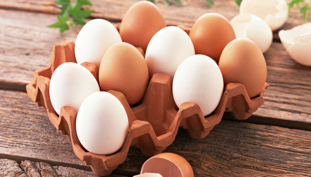 PROTEIN: Egg inneholder portein av høy kvalitet. PROTEIN: Egg inneholder portein av høy kvalitet.