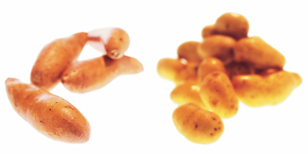 VARIER MED POTETER: I fem om dagen kan en porsjon være vanlige poteter (til høyre). Poteten er en viktig vitamin C-kilde i det norske kostholdet. Bruker du søtpotet (til høyre) i stedet for så får du en god porsjon betakaroten. Søtpotet er oransje og søt på smak og brukes som vanlig potet, men de er ikke i slekt. VARIER MED POTETER: I fem om dagen kan en porsjon være vanlige poteter (til høyre). Poteten er en viktig vitamin C-kilde i det norske kostholdet. Bruker du søtpotet (til høyre) i stedet for så får du en god porsjon betakaroten. Søtpotet er oransje og søt på smak og brukes som vanlig potet, men de er ikke i slekt.