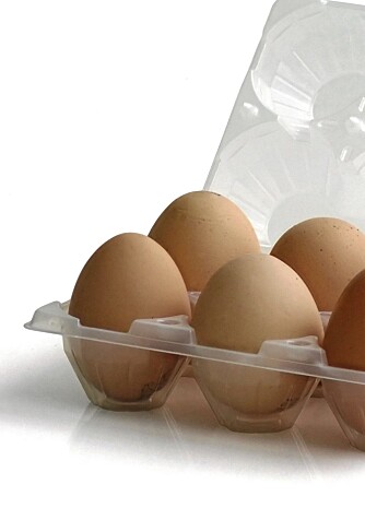 EGG: Myten om høyt kolesterol av egg er ikke sant, mener vår ekspert. EGG: Myten om høyt kolesterol av egg er ikke sant, mener vår ekspert.