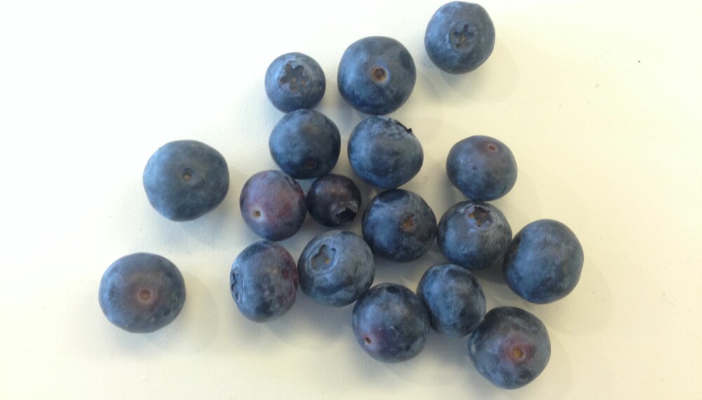 EKTE BLÅBÆR?: Har du også lurt på hvorfor blåbærene er hvite inni? FOTO: Jenny Mina Rødahl
