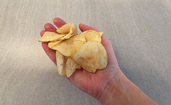 300 KALORIER: Det skal ikke mer til enn en slik mengde med chips for å få i deg 300 kalorier.