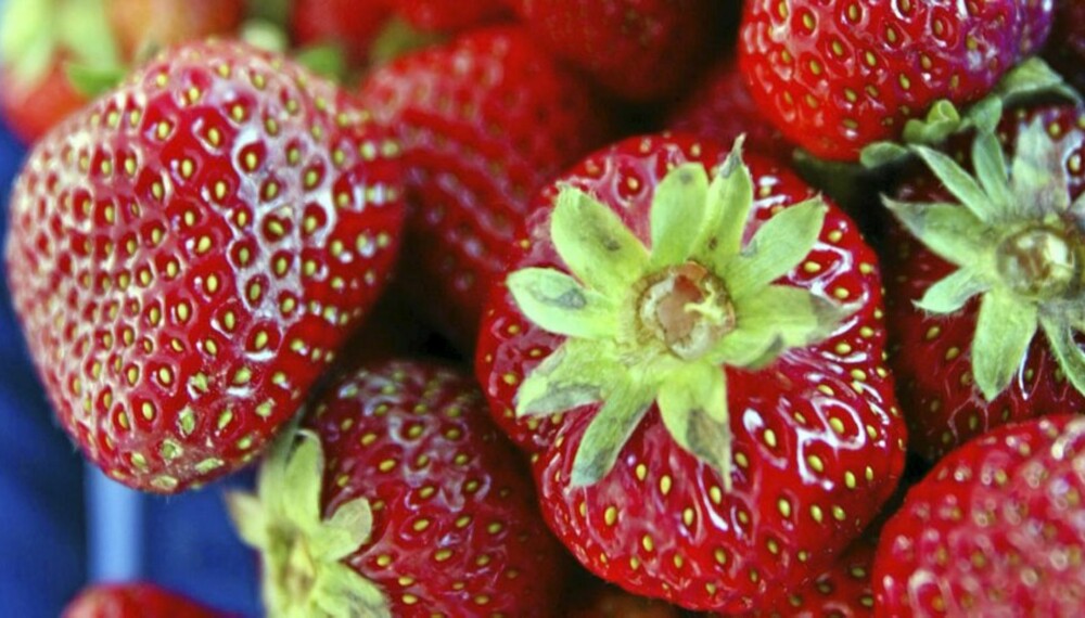 SUNT OG GODT: Endelig er jordbærsesongen her. Og den gode nyheten er at du kan spise jordbær hver dag, hvis du vil.