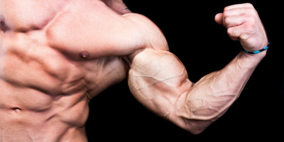 Knepet som gir større muskler