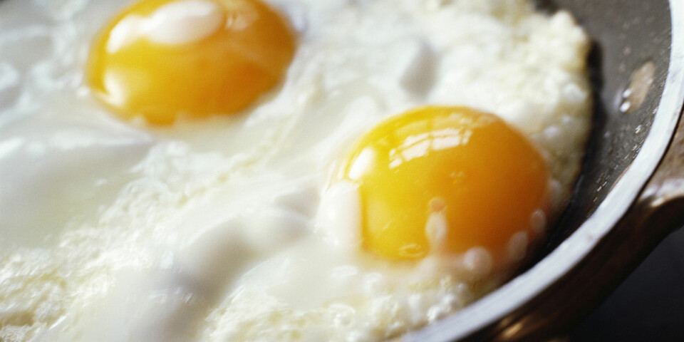 Maten som strammer opp kroppen