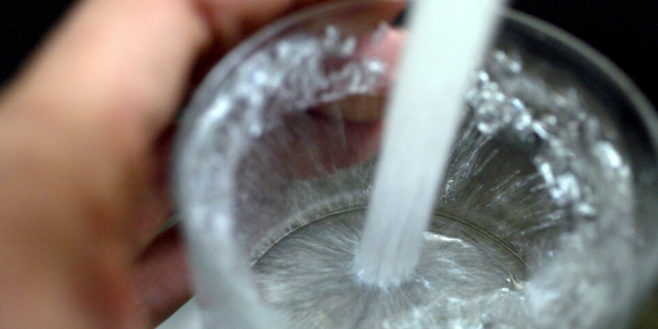 Maten som strammer opp kroppen