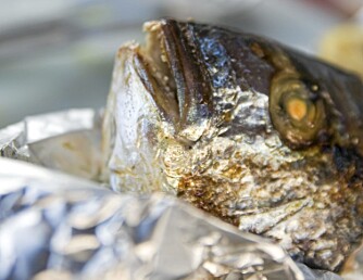 GRILLET FISK: Det dannes mindre helseskadelige stoffer når du griller fisk enn kjøtt. GRILLET FISK: Det dannes mindre helseskadelige stoffer når du griller fisk enn kjøtt.