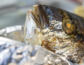 GRILLET FISK: Det dannes mindre helseskadelige stoffer når du griller fisk enn kjøtt.