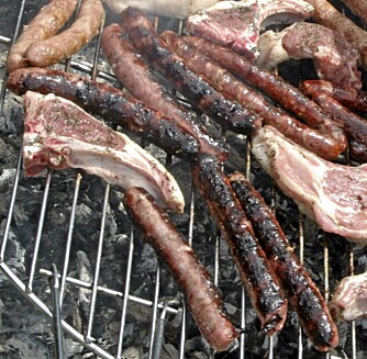 BRENT GRILLMAT: Unngå å la flammene komme i direkte kontakt med maten. Om maten blir svart, bør du ta det svarte av før du spiser. BRENT GRILLMAT: Unngå å la flammene komme i direkte kontakt med maten. Om maten blir svart, bør du ta det svarte av før du spiser.