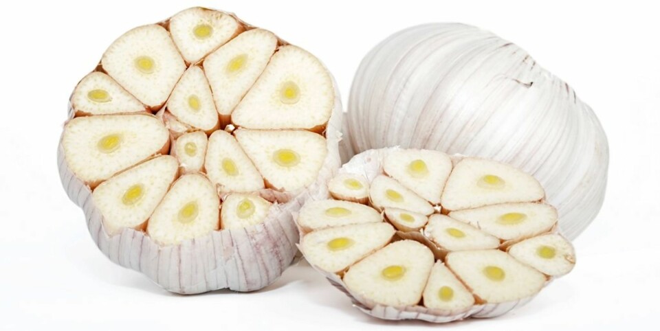 10 gode grunner til å spise hvitløk