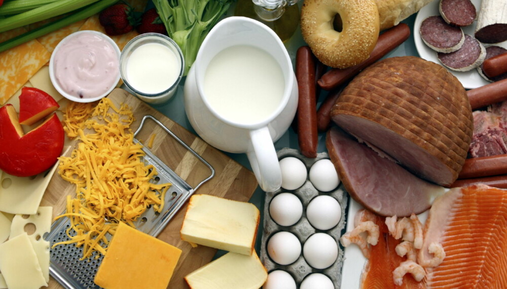 METTHET: Protein metter bedre enn karbohydrater selv om det inneholder nøyaktig samme antall kalorier. METTHET: Protein metter bedre enn karbohydrater selv om det inneholder nøyaktig samme antall kalorier.