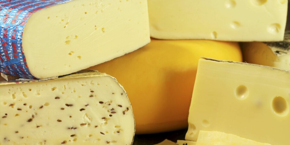 KALSIUM: Ost inneholder kalsium, som sies å virke som en svak, naturlig slankepille.