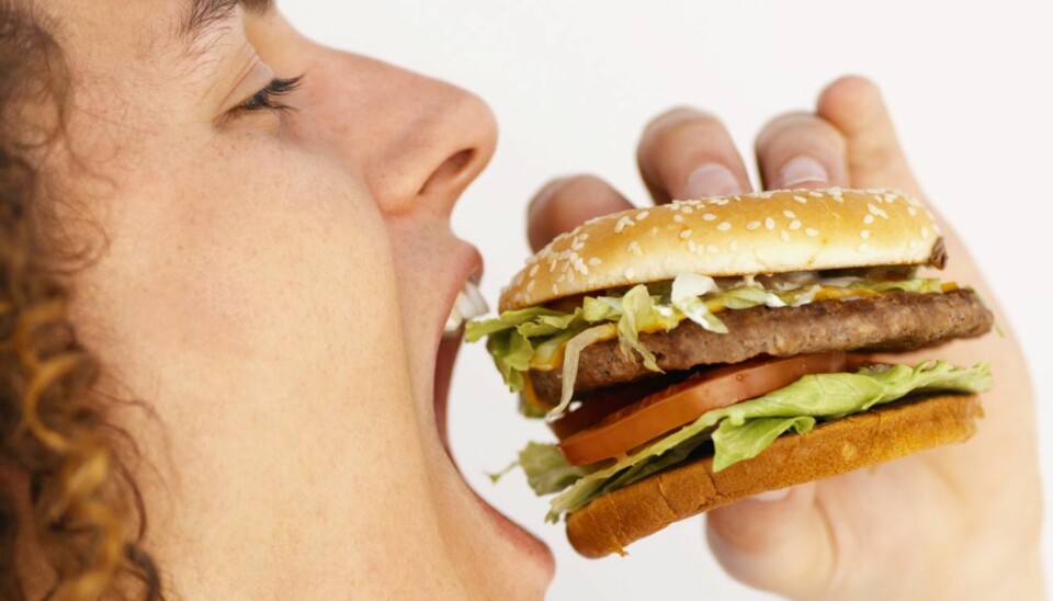 VB6: Du vil ikke gå ned i vekt om du spiser vegansk mat gjennom dagen, for så å skeie ut med store biffer i fløtesaus, sjokoladekaker med masse egg og smør, milkshakes og osteterninger på kvelden.