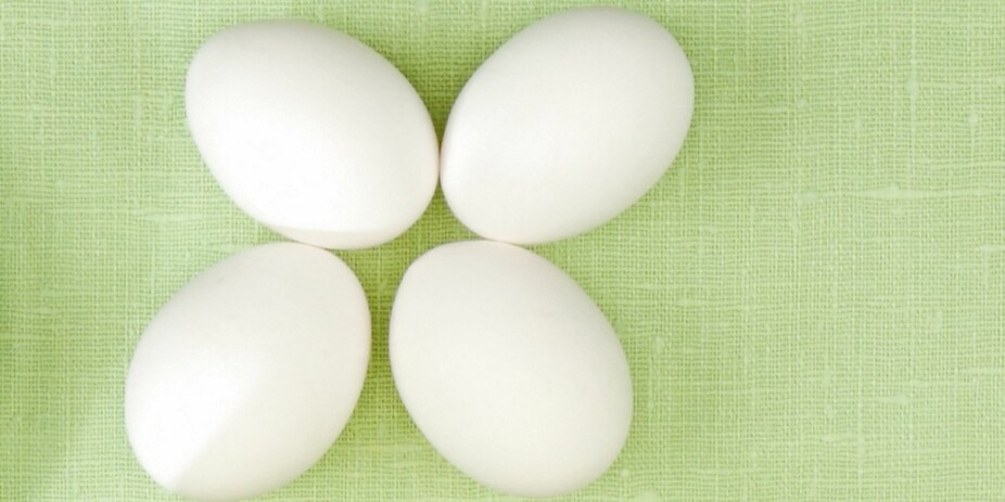 VITAMIN D er ett av få næringsstoffer det virkelig kan være utfordrende å få i seg nok av.
10 mcg dekkes med: 4 egg, eller 1 laksefilet (120g), eller 1 skje tran. VITAMIN D er ett av få næringsstoffer det virkelig kan være utfordrende å få i seg nok av.
10 mcg dekkes med: 4 egg, eller 1 laksefilet (120g), eller 1 skje tran.