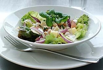 USUNT? En bolle med salat, slik som denne, ser ut som sunn mat. Problemet med salat, er at det inneholder lite proteiner. Dermed kan personer som spiser for sunt for lenge, få et underskudd på proteiner i dietten. 