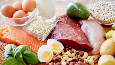 Bilderesultat for proteiner i mat