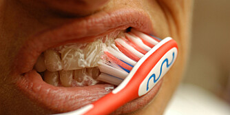 IKKE SKYLL: Fluor beskytter tennene dine, men trenger litt tid i munnen for å virke riktig.