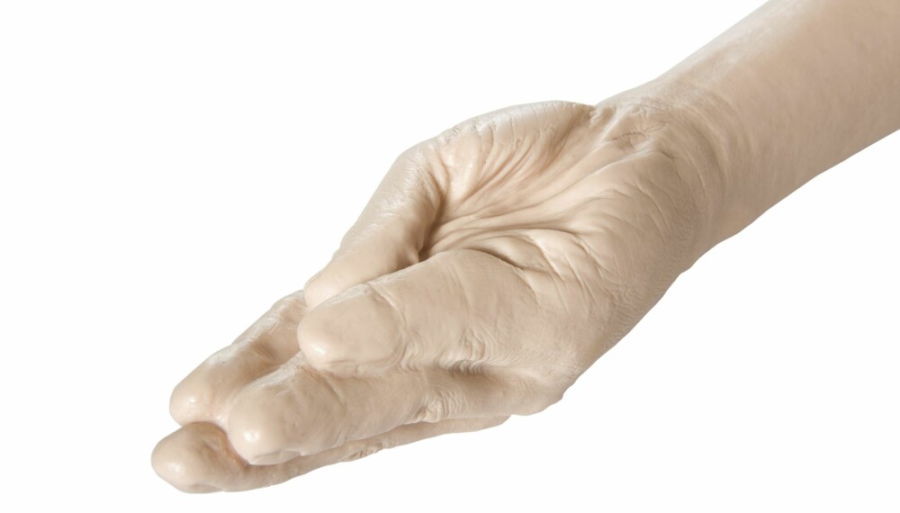 FISTING: Latekshansker er anbefalt ved fisting, da det gir bedre gli og lettere inntrengning, minimerer risikoen for infeksjoner fra bakterier på hånden, i tillegg til at de reduserer faren for rifter i slimhinnene fra fingerneglene (neglene bør være kortklipte). Seksuelle leketøy formet som en hånd (bildet) får også kjøpt.