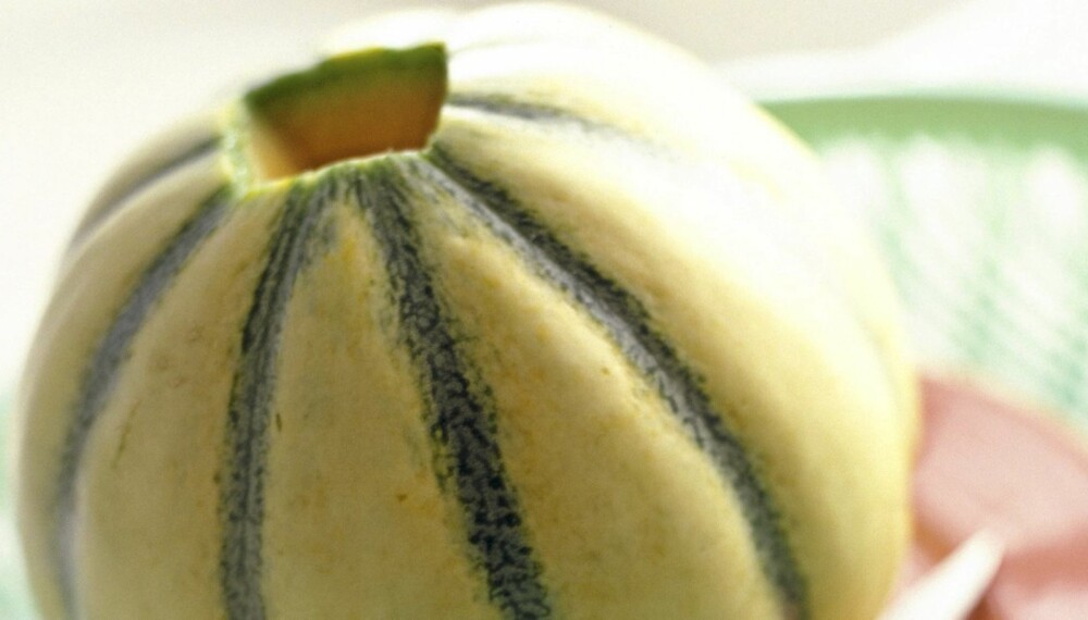 GLEDESHULL: En melon kan fungere som sexleketøy, sier sexolog Kjersti Antonsen.