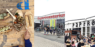 STORBYFERIE: København er en by stappet med mennesker og opplevelser. Papirøen Street Food festival er glimrende også for familier. Etter en god lunsj kan familien besøke Experimentarium som ligger vegg i vegg. 