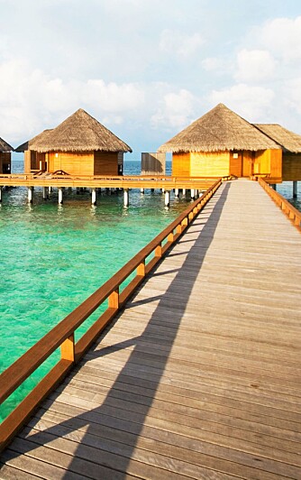 MELDIVENE: På maldivene er det mest romantisk å feriere i en vannbungalow .