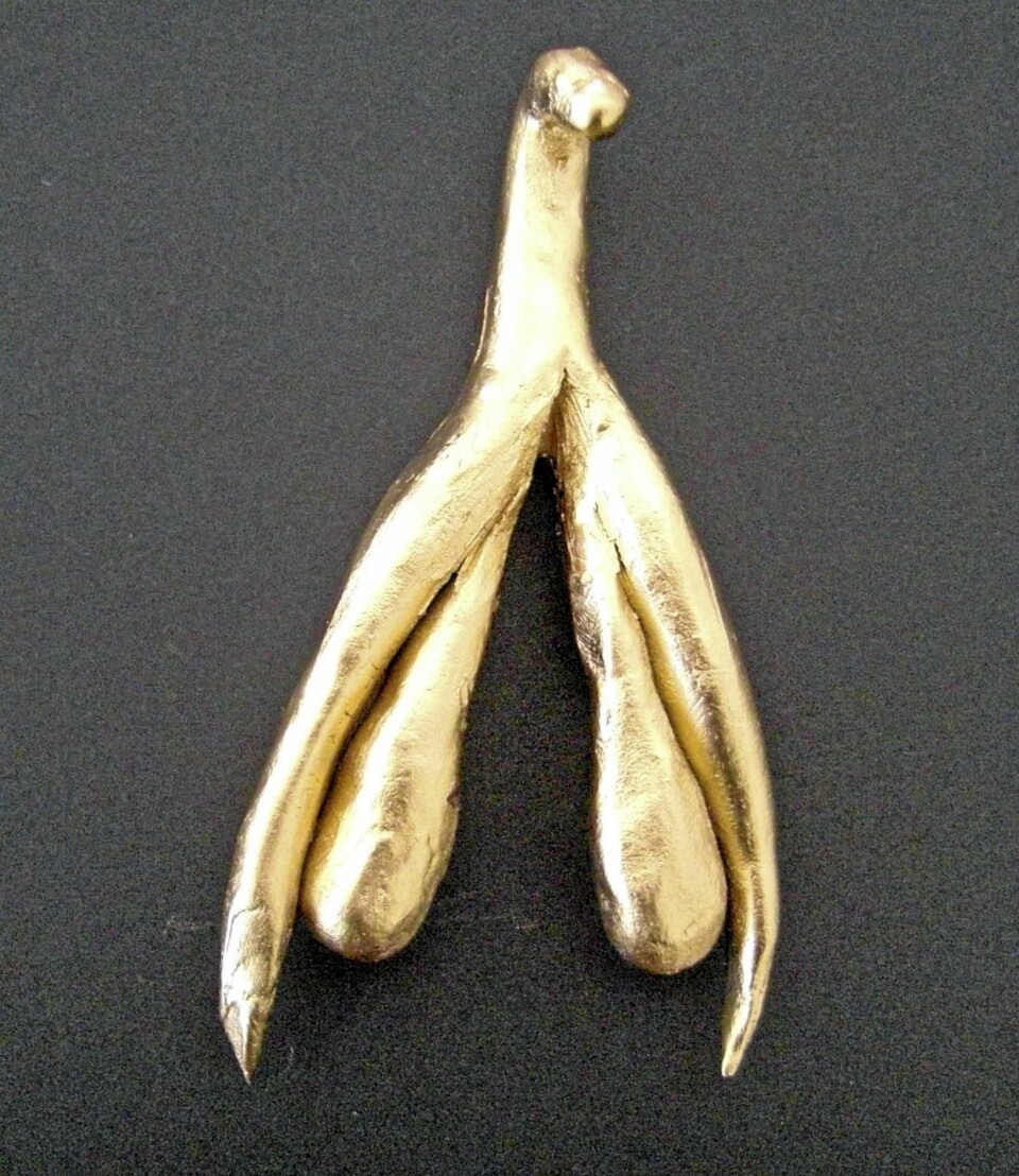 GULLSKULPTUR: - Publikum viser beundring for min gullskulptur av klitoris, sier sexologisk rådgiver, Stine Kühle-Hansen. Figuren på bildet viser hun frem i sine utstillinger.