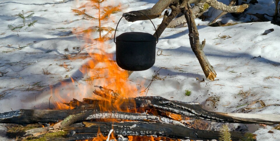 KJERRING: Ordet «kjerring» har minst to betydninger. I bålsammenheng er det ensbetydende med en stokk der du henger kaffekjelen.