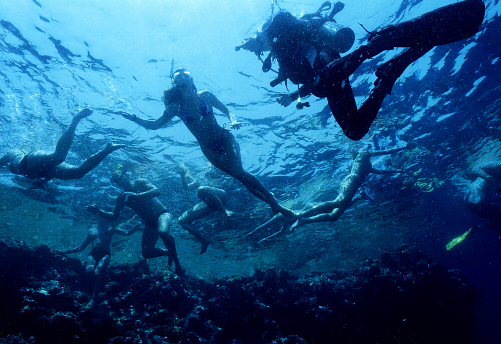 YRENDE BADELIV: Ikke bare dykkere koser seg i det varme vannet utenfor kysten av Dalmatia.