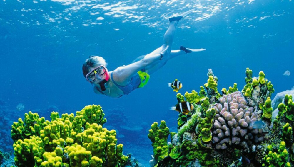 STØRST: Great Barrier Reef - verdens største korallrev. STØRST: Great Barrier Reef - verdens største korallrev.
