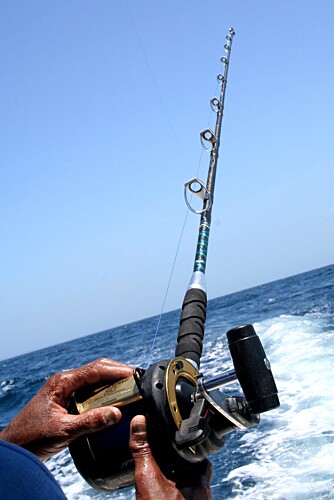 SYV STENGER: På det meste fiskes det med syv stenger ute samtidig. Snørene henger i vannskorpen etter båten.